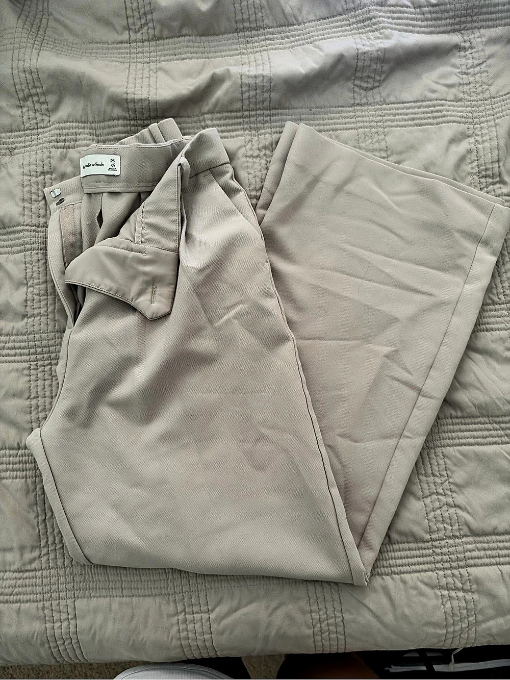 Abercrombie & Fitch Wide Leg Tailored Pant Beige Waist 25
